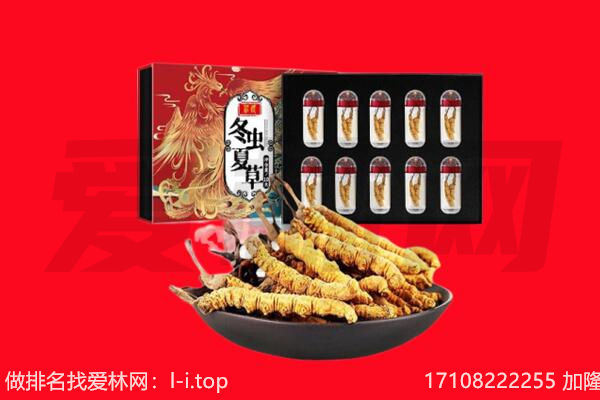 绍兴嵊州市回收虫草.jpg